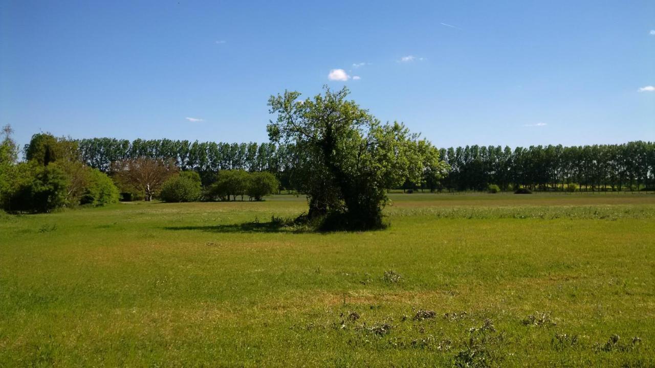 Gite Et Chambres D'Hotes Le Chene Billault Pouant Eksteriør bilde